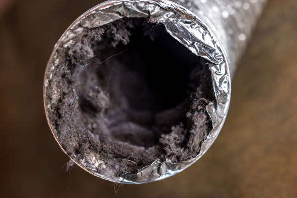 Best HVAC Air Duct Cleaning  in Prieville, NC
